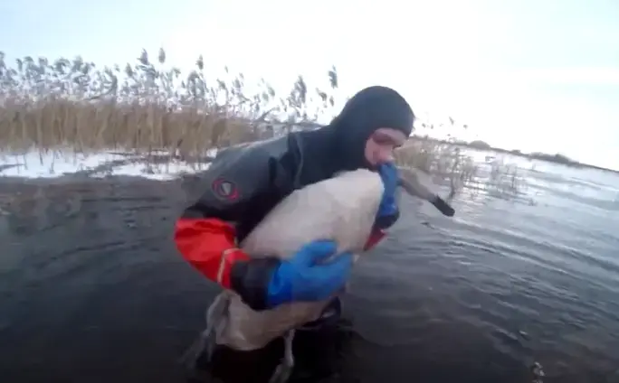 Скриншот видео YouTube-канала «МЧС Минская область»