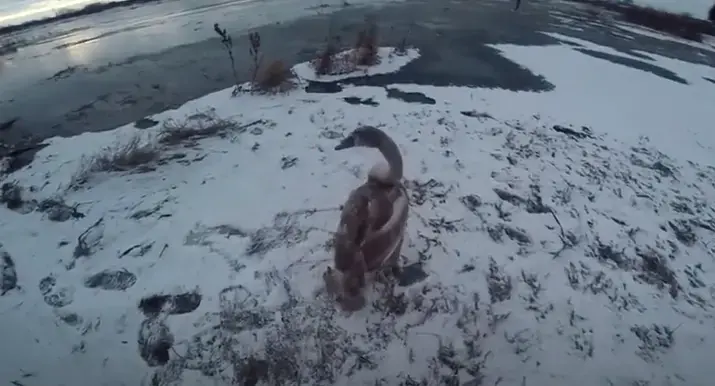 Скриншот видео YouTube-канала «МЧС Минская область»