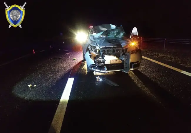 Следователи ищут очевидцев ДТП в Белыничском районе