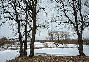 Зима не собирается сдавать позиции: на 8 Марта будет снег