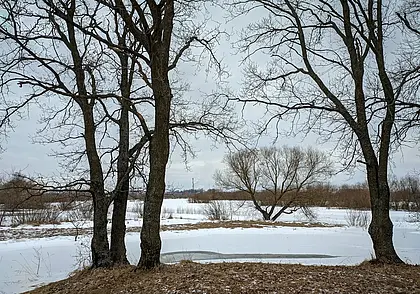 Зима не собирается сдавать позиции: на 8 Марта будет снег