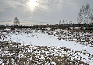 Без существенных осадков: какая погода ждет могилевчан в понедельник, 13 февраля