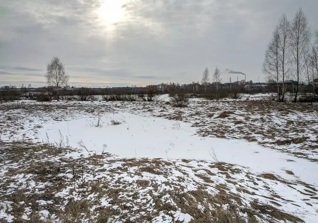 Без существенных осадков: какая погода ждет могилевчан в понедельник, 13 февраля