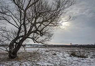 Еще будут снегопады: о погоде в первый месяц весны