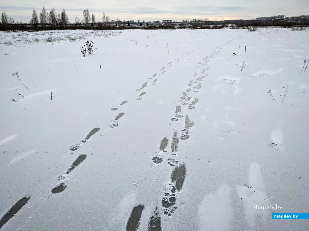 06.02.2023. Химовский сельский Совет, Бобруйский район, Могилёвская область, 213801, Беларусь. После
