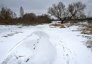 Ожидается усиление ветра. Оранжевый уровень опасности объявлен в Беларуси на 5 марта