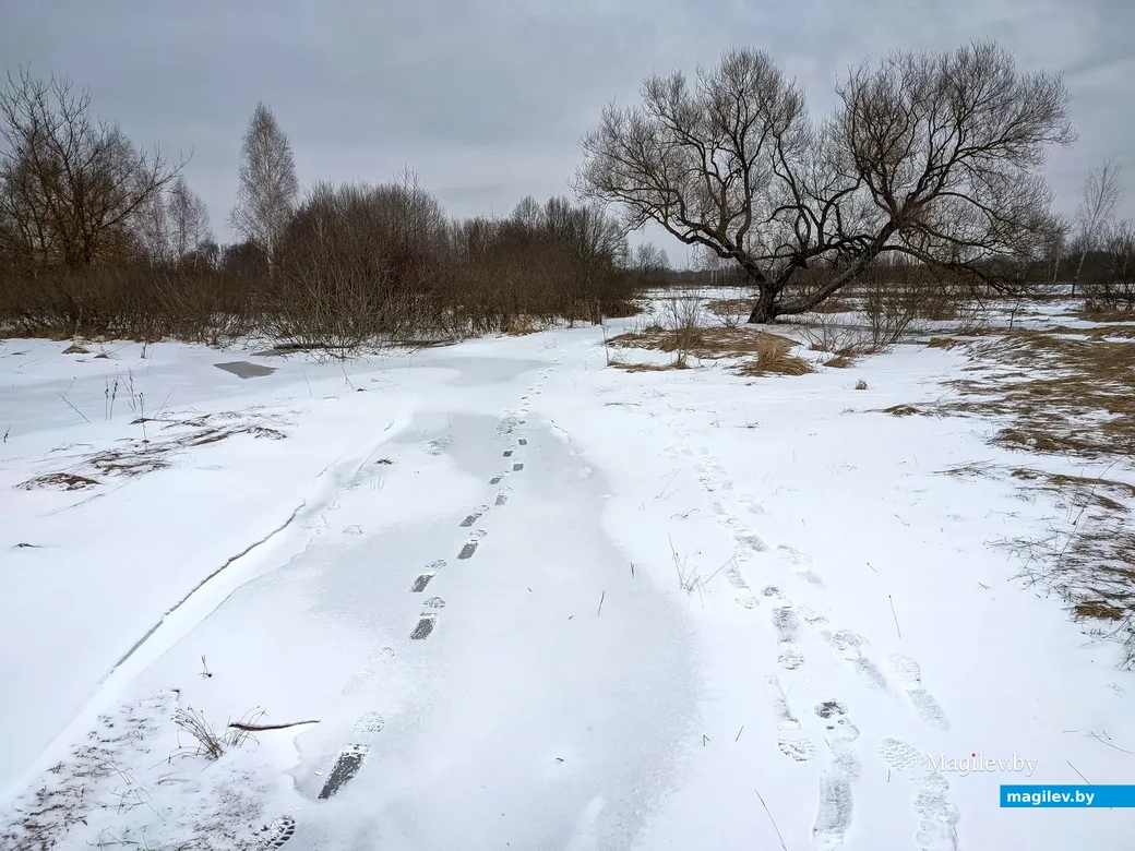 06.02.2023. Химовский сельский Совет, Бобруйский район, Могилёвская область, 213801, Беларусь. После