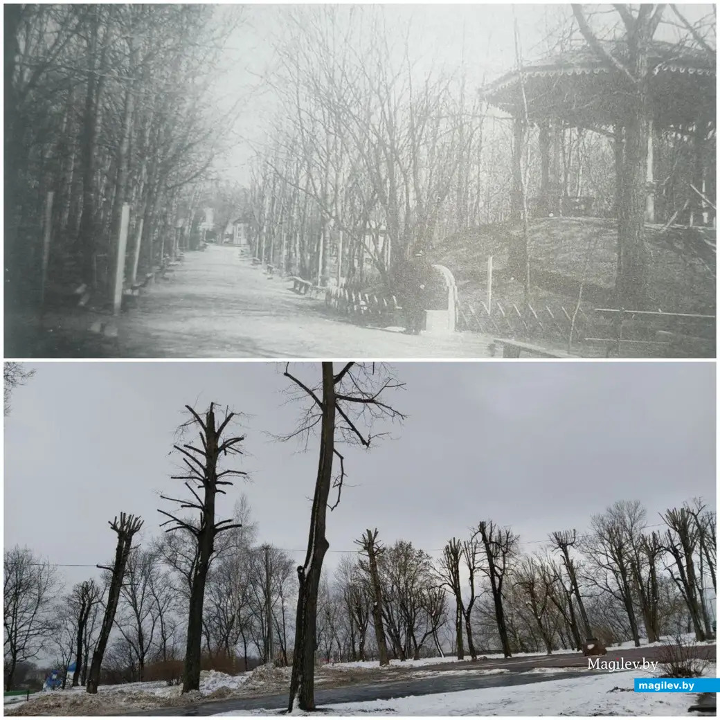 Могилев, парк Горького. Раньше он назывался «садом Дембовецкого» (сейчас деревья обрезали, но летом, надеемся, парк будет выглядеть получше).
