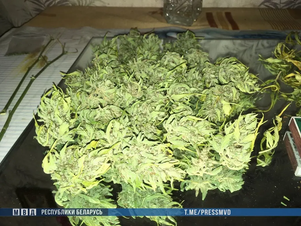 Фото: МВД РБ.