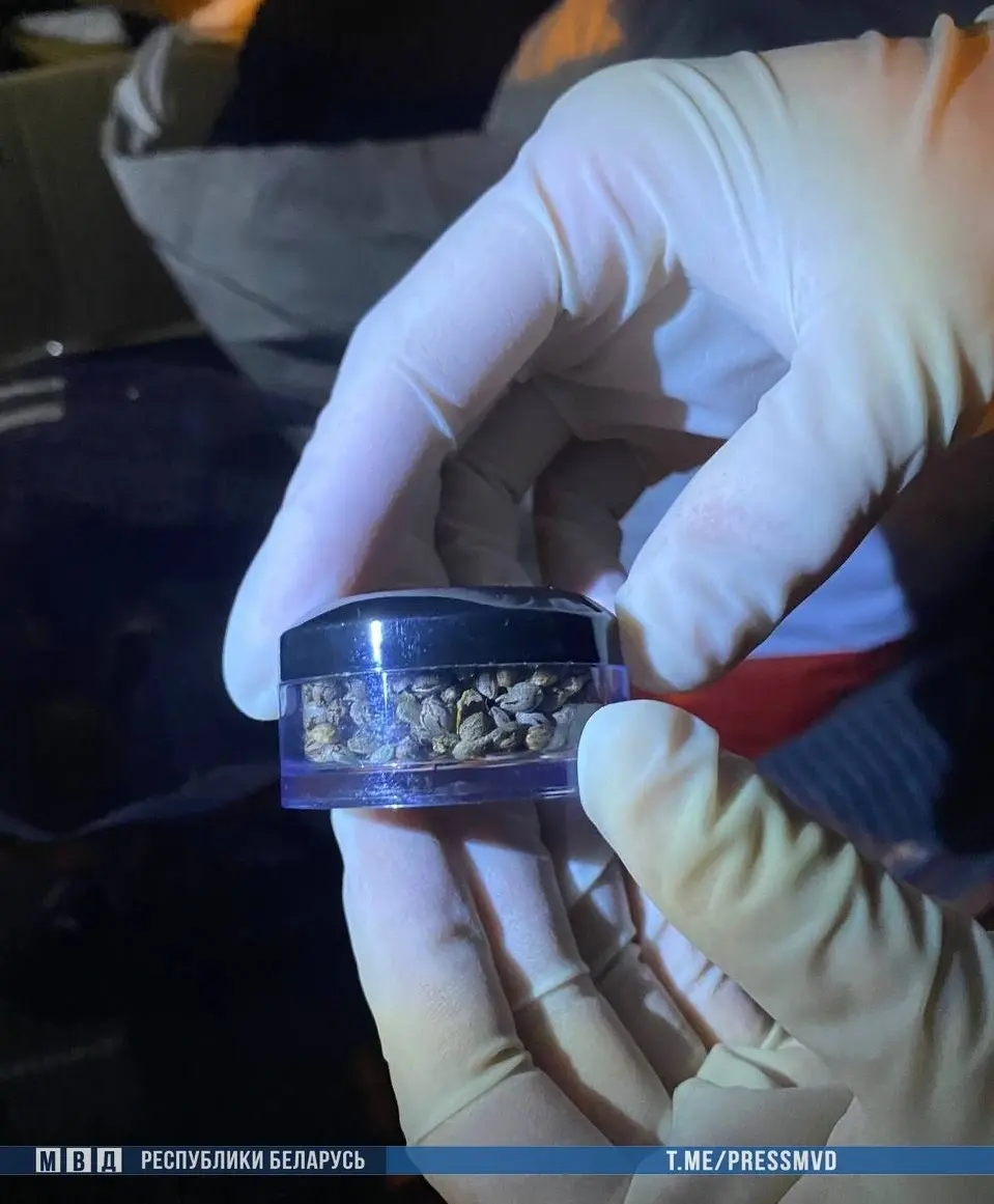 Фото: МВД РБ.