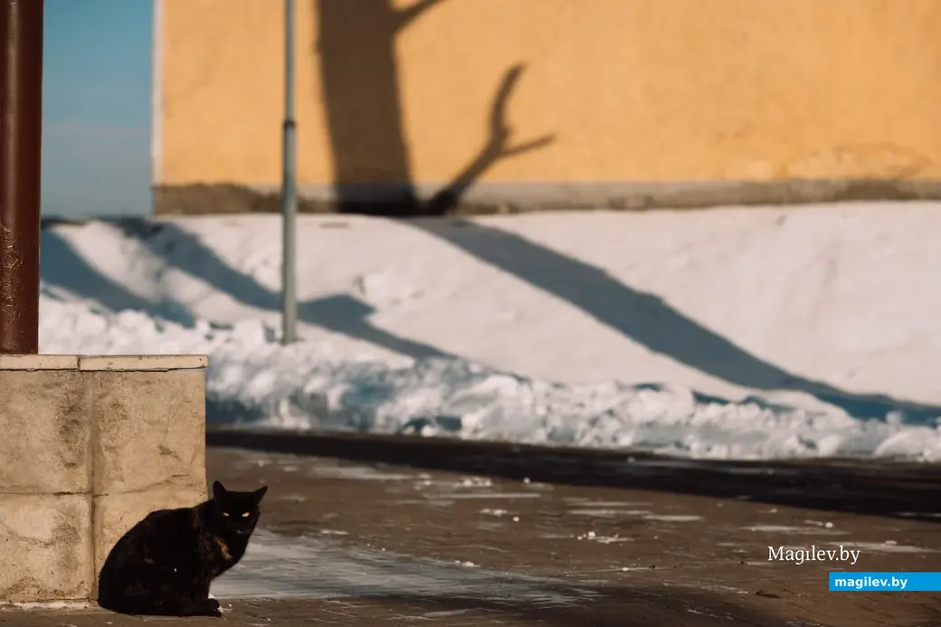 Февраль 2023 г. Могилев. До весны осталось чуть больше двух недель, и ее приближение уже чувствуется.