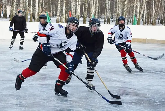 Хоккейный матч памяти воинов-интернационалистов прошел в Быхове. Фото: bykhov.by
