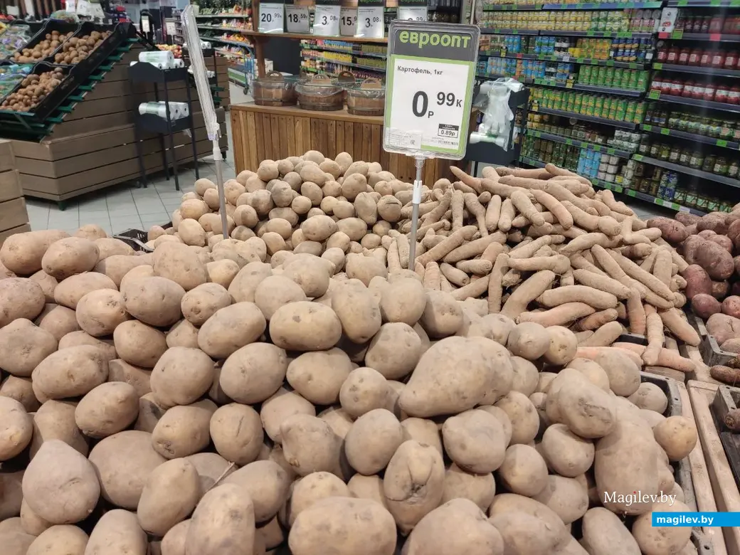 Гипермаркет «Е-сити». Могилев, 10.02.2023 г