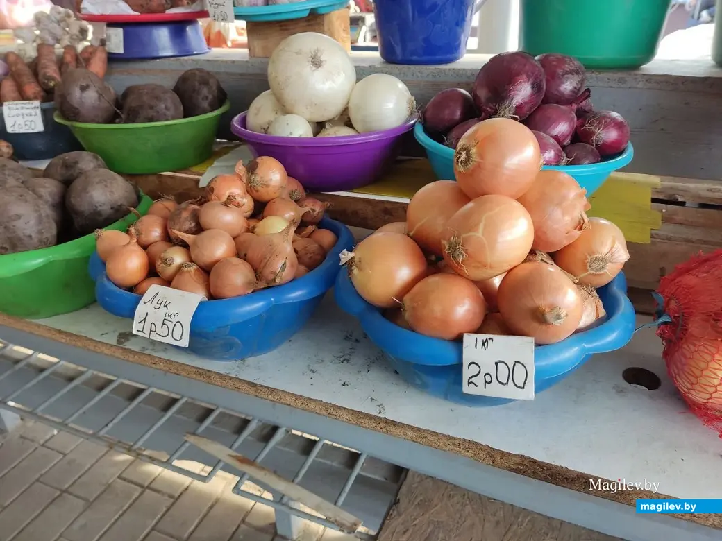 Центральный (Минский) рынок. Могилев, 10.02.2023 г