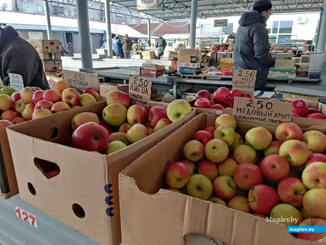 Центральный (Минский) рынок. Могилев, 10.02.2023 г