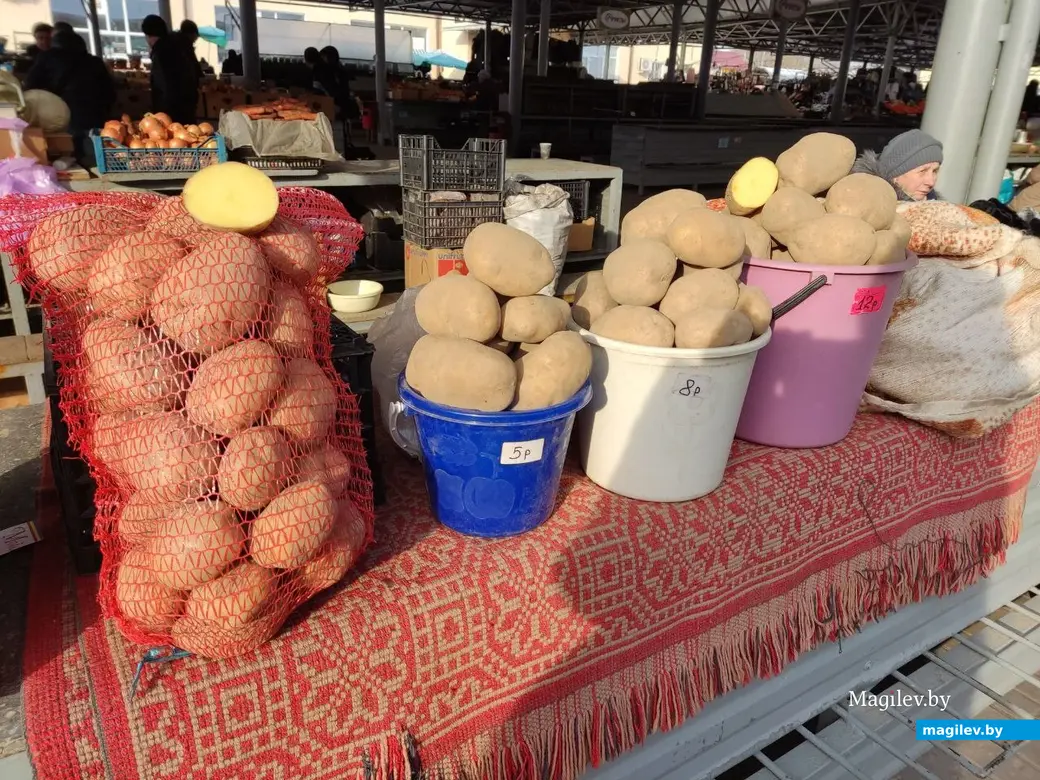 Центральный (Минский) рынок. Могилев, 10.02.2023 г