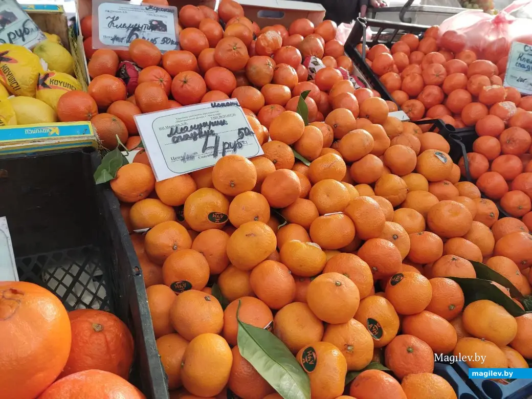 Центральный (Минский) рынок. Могилев, 10.02.2023 г