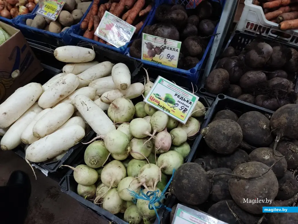 Центральный (Минский) рынок. Могилев, 10.02.2023 г