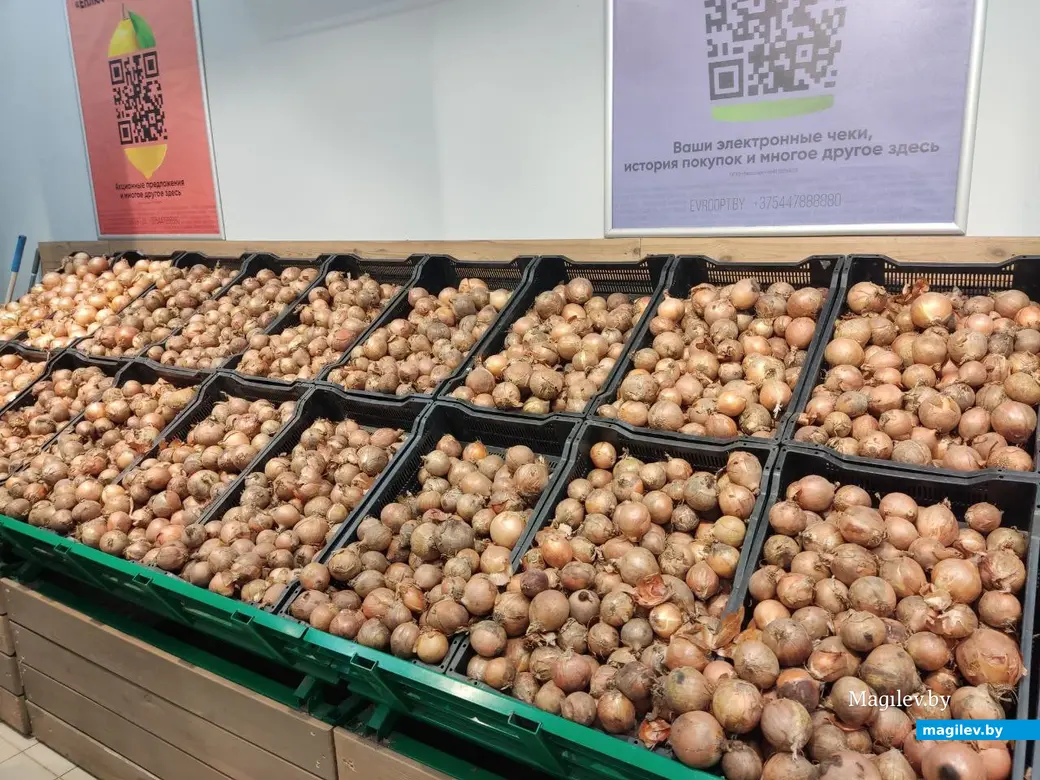 Гипермаркет «Е-сити». Могилев, 10.02.2023 г