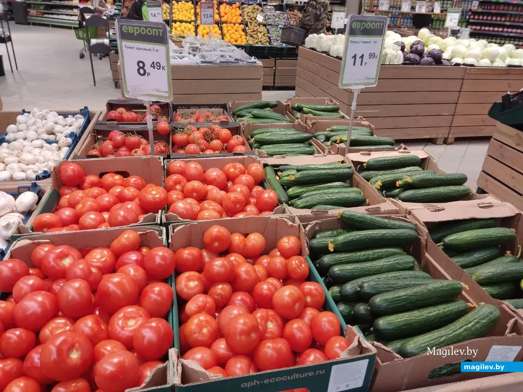 Гипермаркет «Е-сити». Могилев, 10.02.2023 г