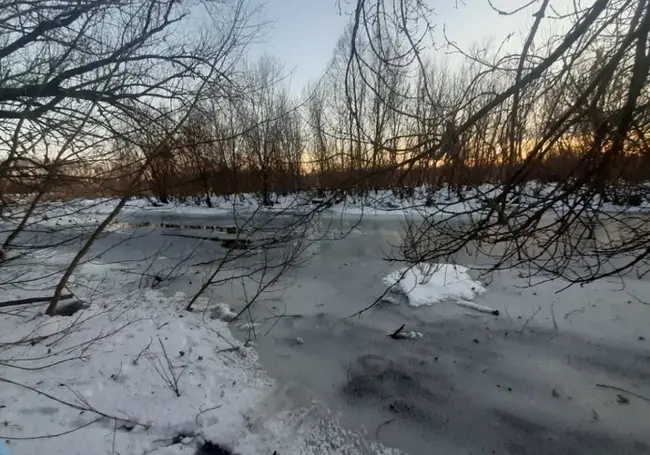 В Добрушском районе 10-летний ребенок провалился под лед