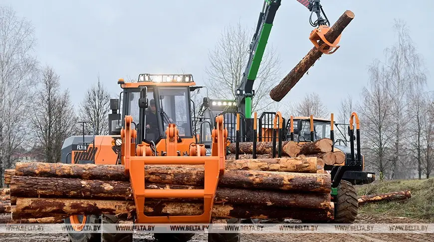Фото: БЕЛТА. Носит иллюстративный характер