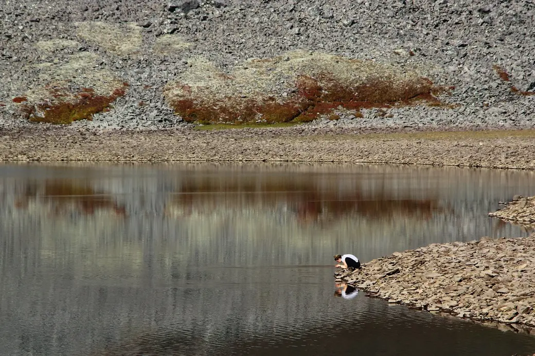 Глядя на некоторые Ольгины фотографии, возникает чувство: здесь явно не ступала нога человека.