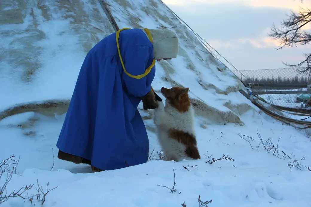 За эти годы Ольга Мамаджанова раз 9 или 10 была в тундре. И даже обрела там близких друзей – ненцев.