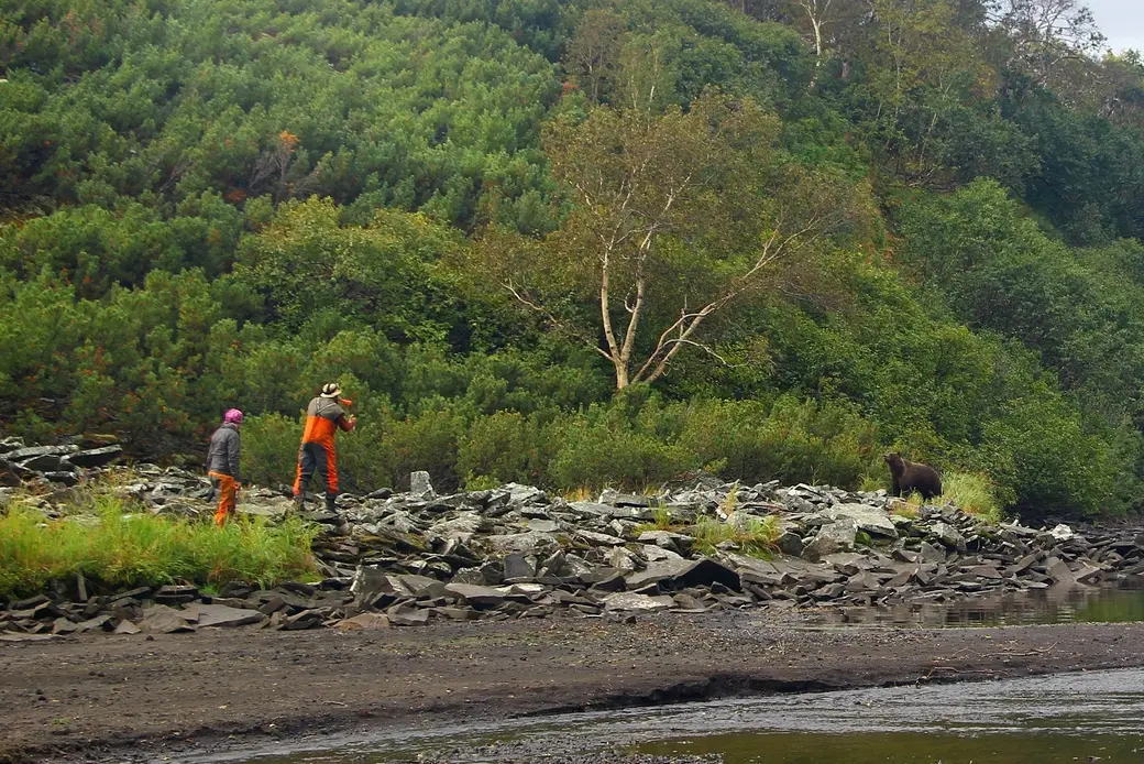 Сегодня Ольга Мамаджанова может написать целую методичку о том, как «общаться» с косолапыми.