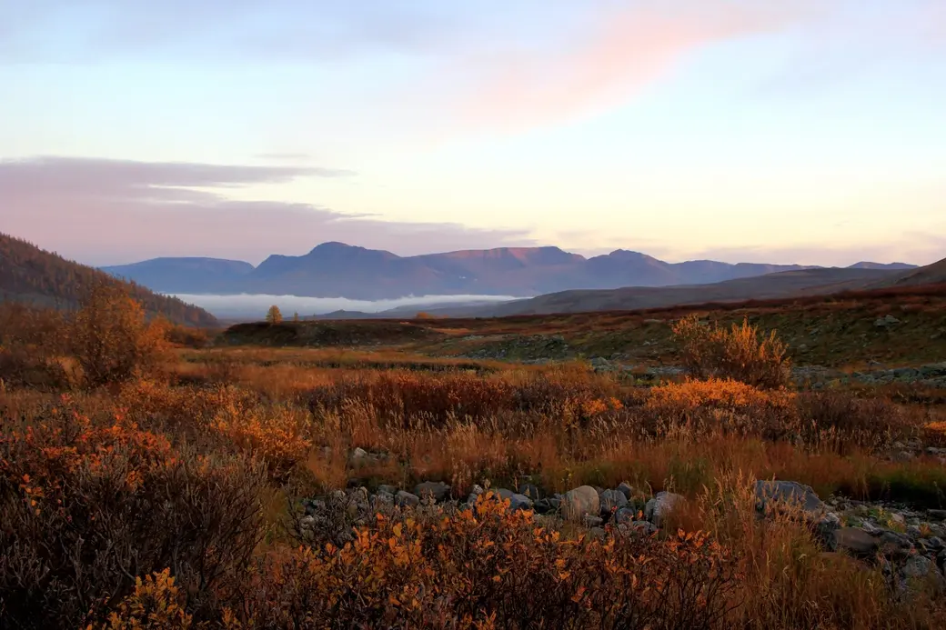 Фото из путешествий Ольги Мамаджановой.