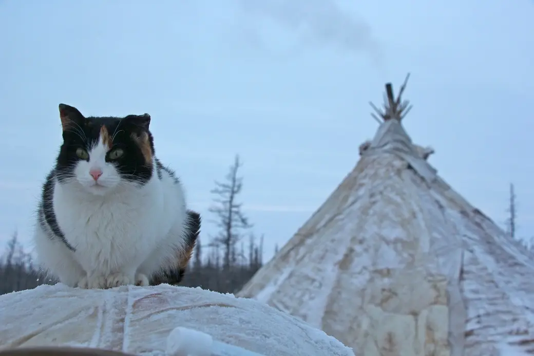 Фото из путешествий Ольги Мамаджановой.