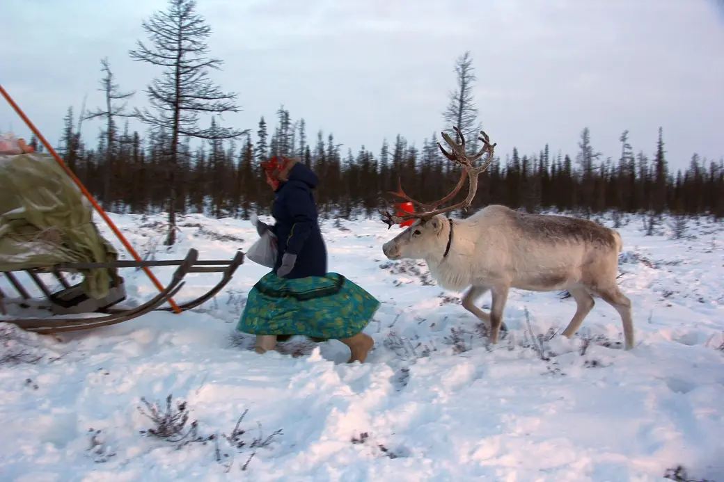 Фото из путешествий Ольги Мамаджановой.