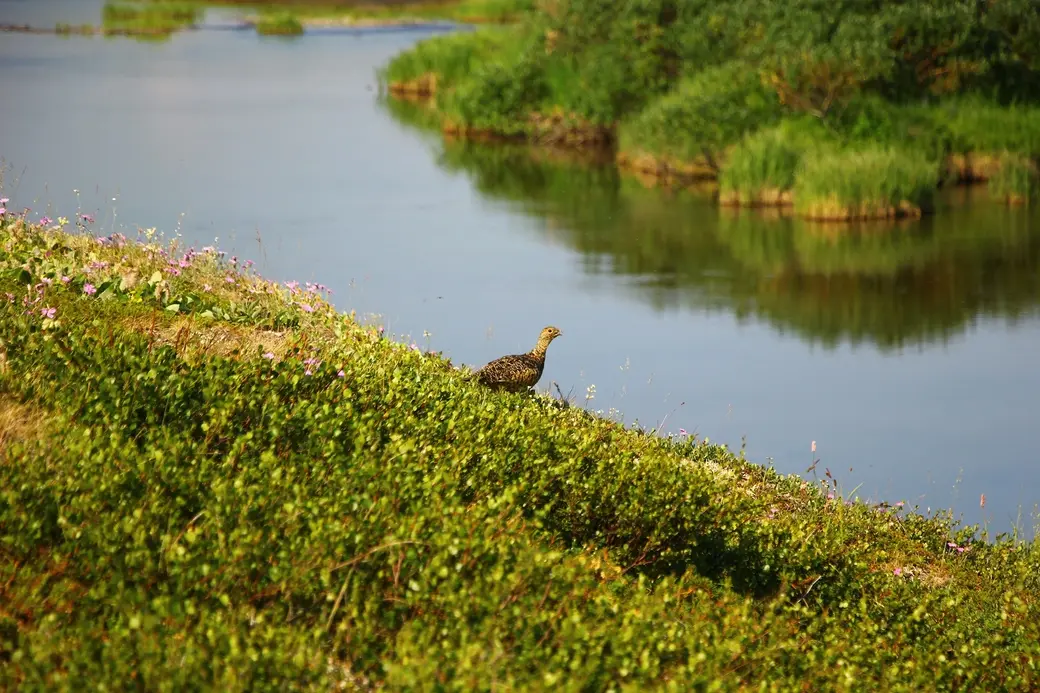 Фото из путешествий Ольги Мамаджановой.