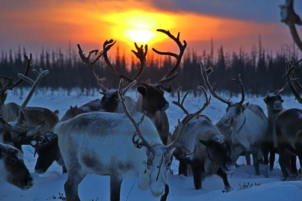 Фото из путешествий Ольги Мамаджановой.