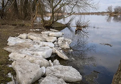 В Гомельской области два пограничника утонули, провалившись под лед