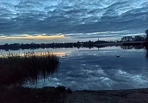 С ликвидацией острова или без: озвучены планы по очистке Святого озера в Могилеве