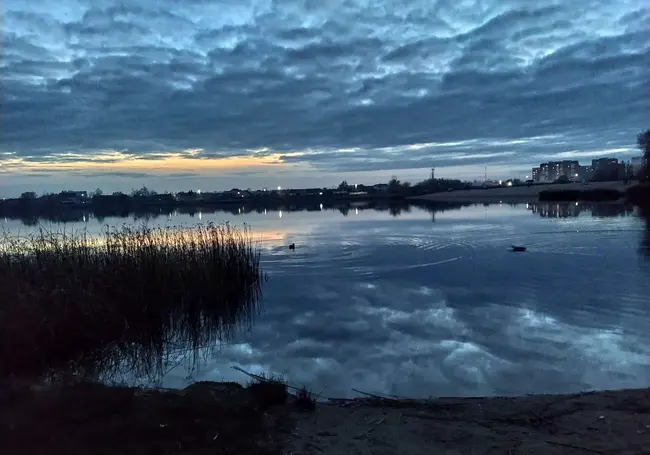 С ликвидацией острова или без: озвучены планы по очистке Святого озера в Могилеве