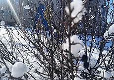 Мороз и солнце; день чудесный! И в Могилеве всё прелестно... Зимний фотофакт