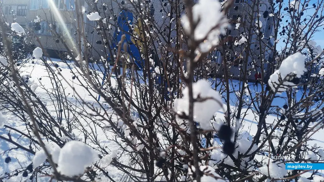 22.02.2023 г. Могилев, Чапаевка. Чем не зимняя благодать?
