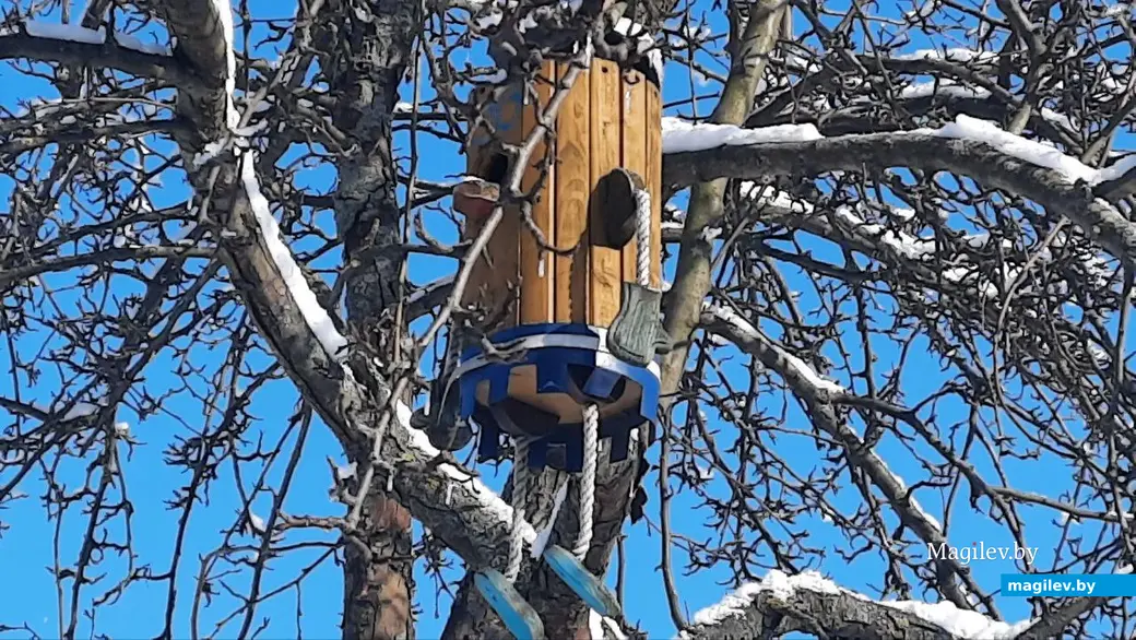 22.02.2023 г. Могилев, Чапаевка. Даже скворечник-домовенок в такую погоду мерзнет.