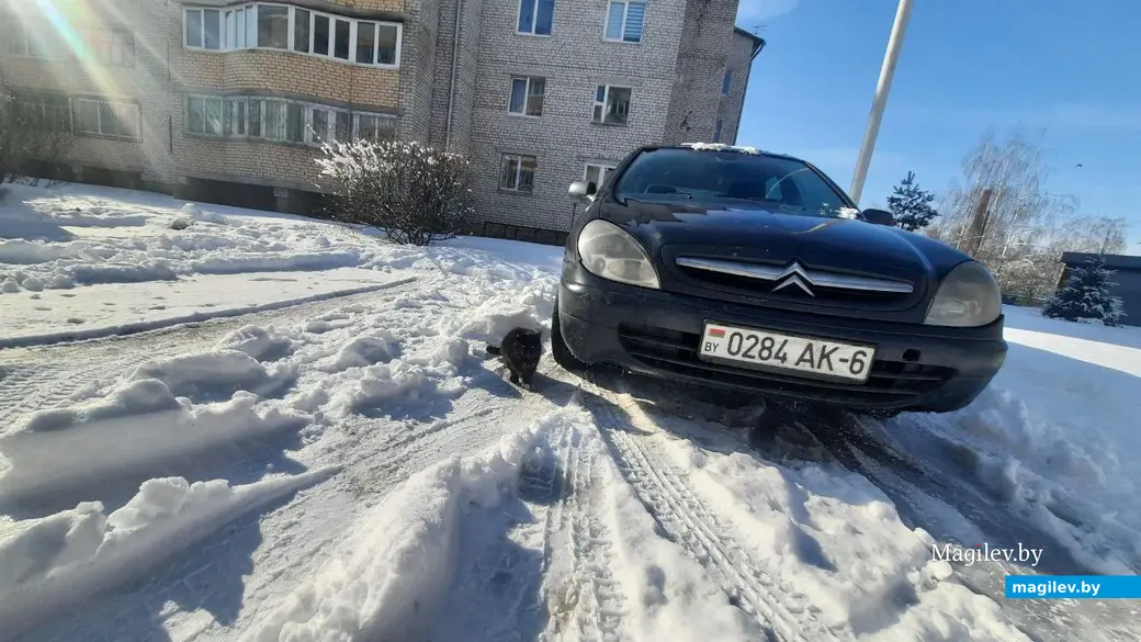 22.02.2023 г. Могилев, Чапаевка. Судя по всему, не все машины сегодня завелись.