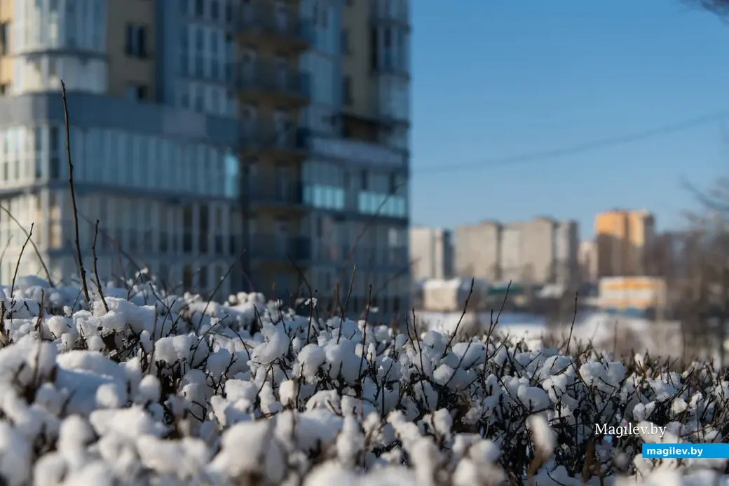 23.02.2023 г. Могилев. Последние зимние деньки.