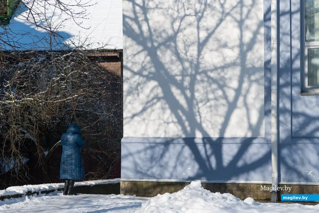 23.02.2023 г. Могилев. Последние зимние деньки.