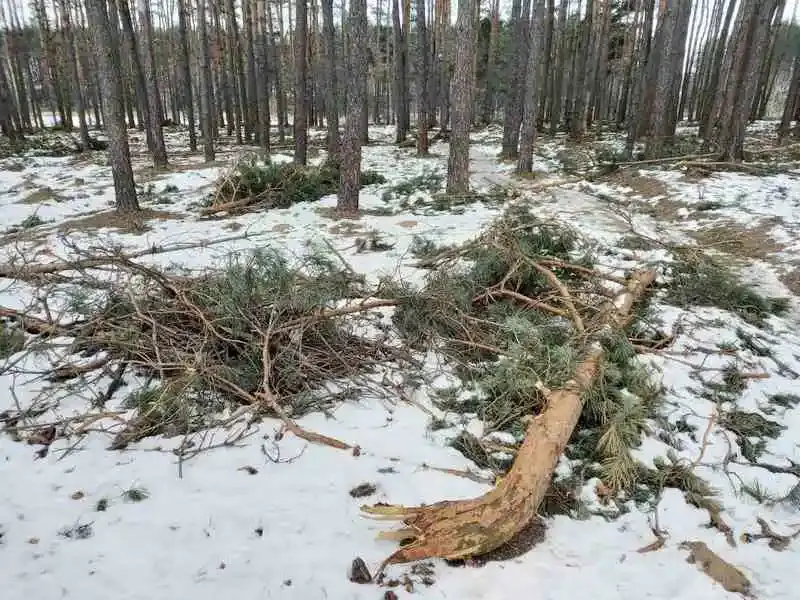 Фото: сайт golk.by