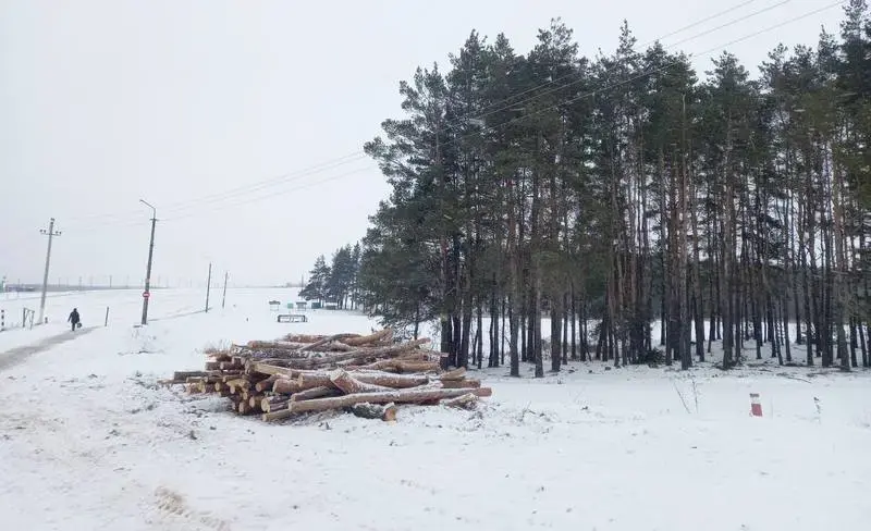 Фото: сайт golk.by