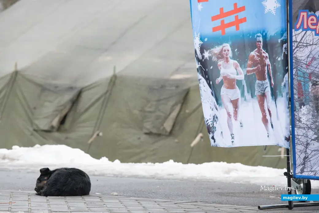 Могилев, 26 февраля 2023 года. Фестиваль закаливания «ЗакалФест» в парке Подниколье.