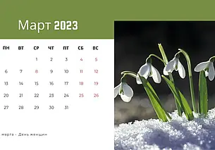 Как будем работать и отдыхать в марте, рассказали в Минтруда