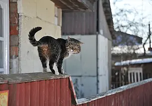 Облачность и гололедица: что погода подготовила для могилевчан в последний день зимы