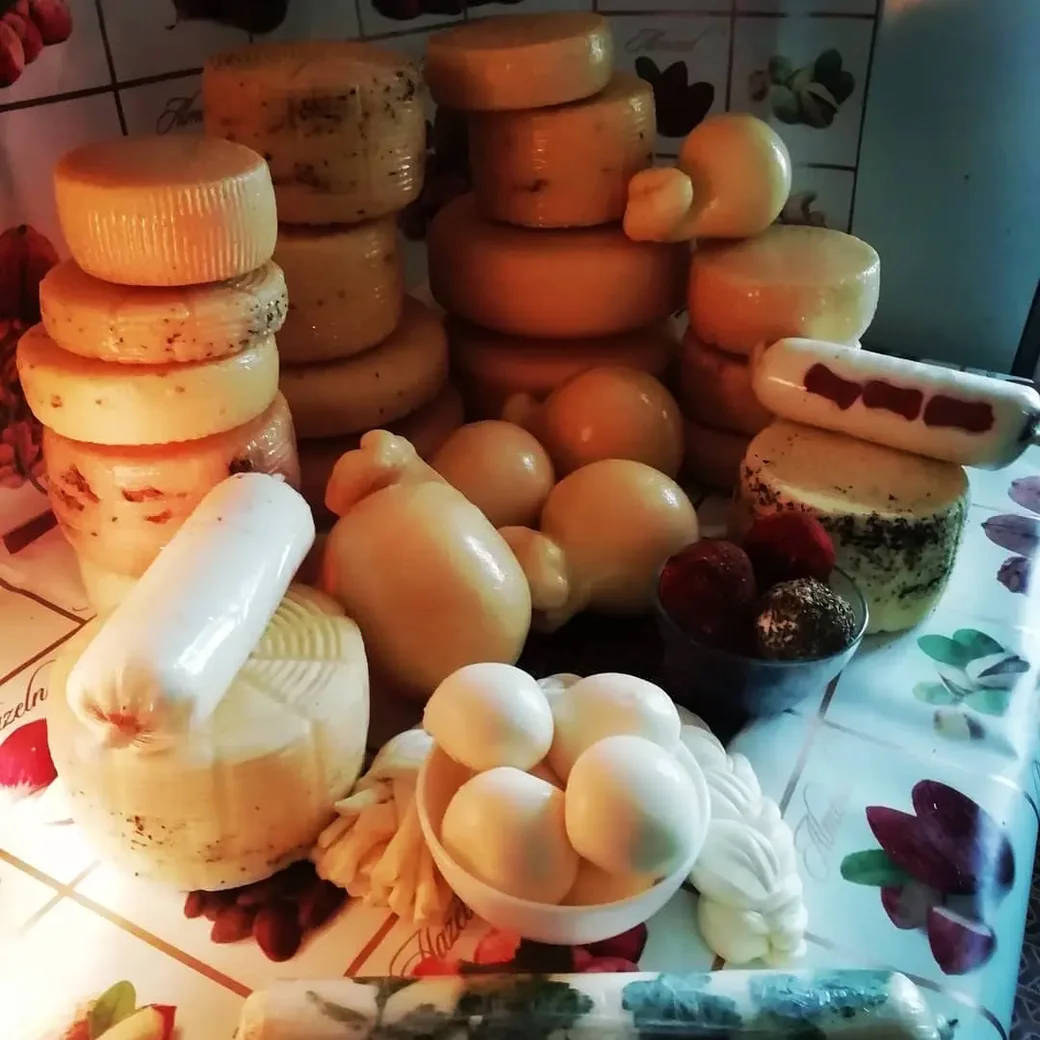 Сыры Зои Багаутдиновой.