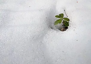 Погода на 2 марта: о чем синоптики предупреждают могилевчан